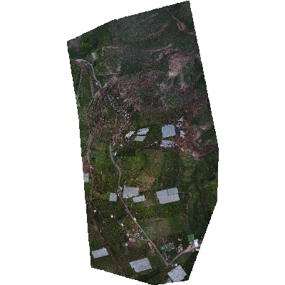 Export Image