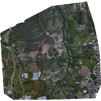 Export Image